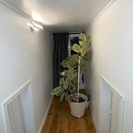 キャンプ場 Gusmao House *