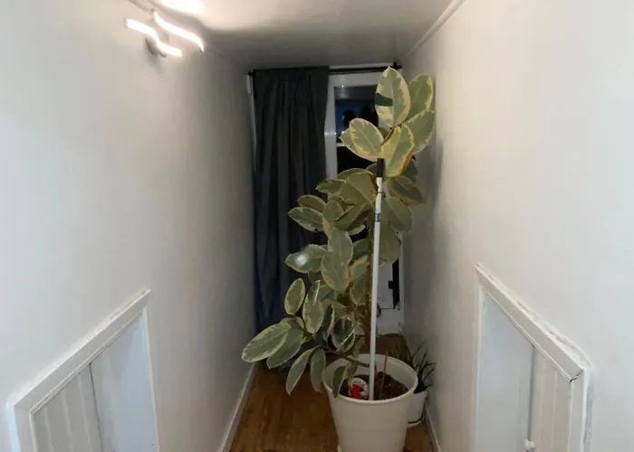 Kemping Gusmao House *